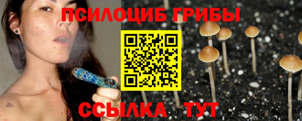 Галлюциногенные грибы ЛСД  Вход с VPN  Амурск 